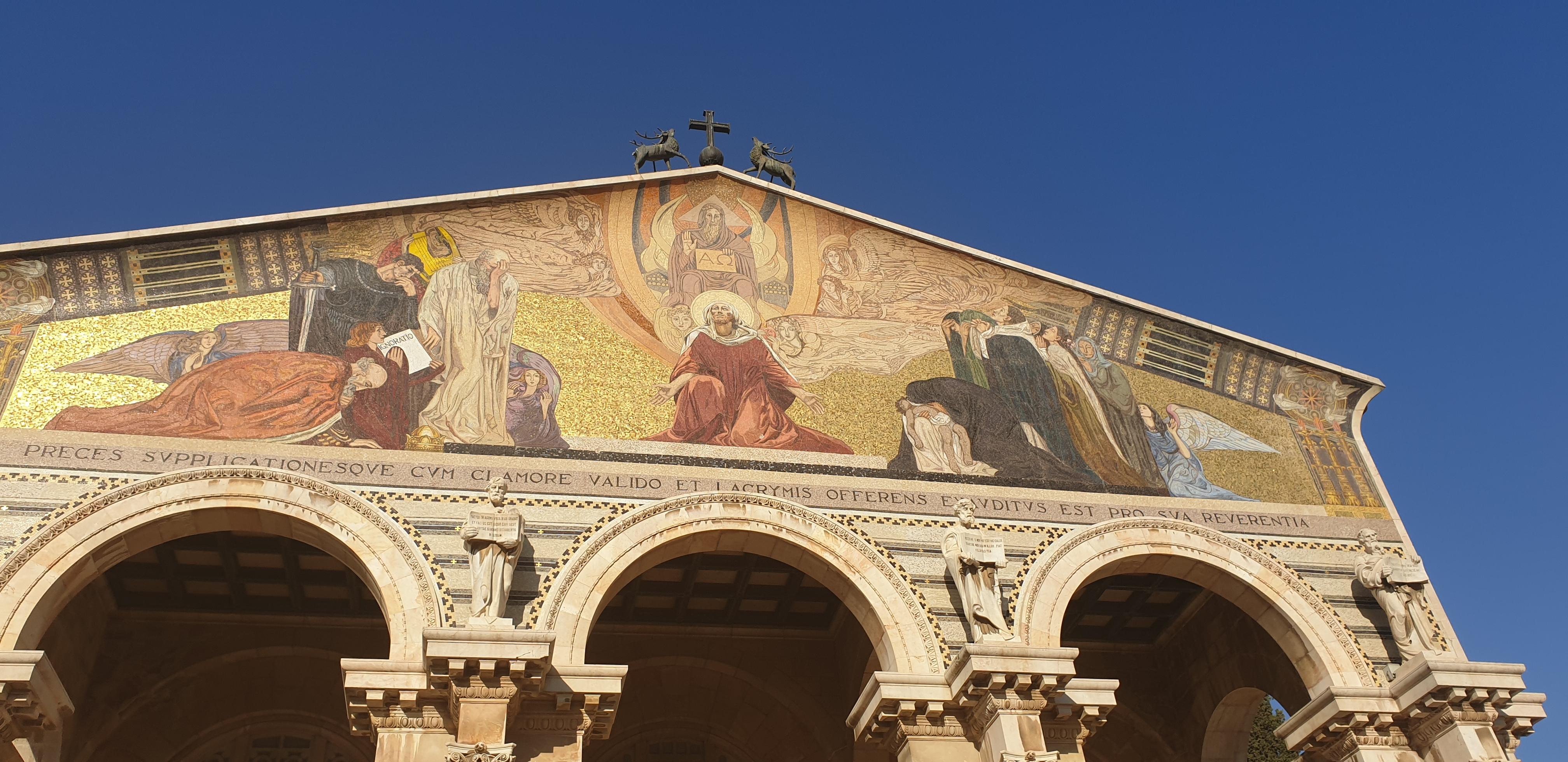 20190731_175344 (Copia di NXPowerLite).jpg