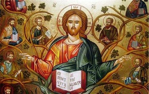 V Domenica di Pasqua anno B. Noi tralci, Lui la vite: siamo della stessa pianta di Cristo