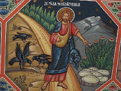 XV Domenica del Tempo Ordinario anno A. Ogni giorno su di noi una pioggia di semi di Dio