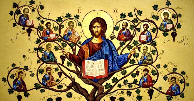 V Domenica di Pasqua anno B. Più che pulite Dio chiede mani colme di vendemmia