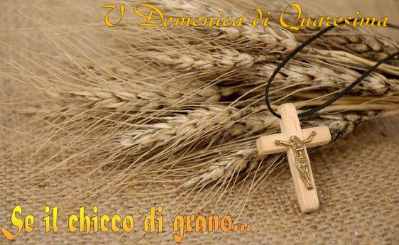 V Domenica di Quaresima anno B. La lezione di “vita” del chicco che “muore”