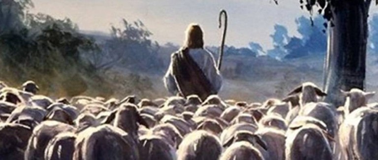 XVI Domenica del Tempo Ordinario anno B. Finché c'è compassione il mondo può sperare