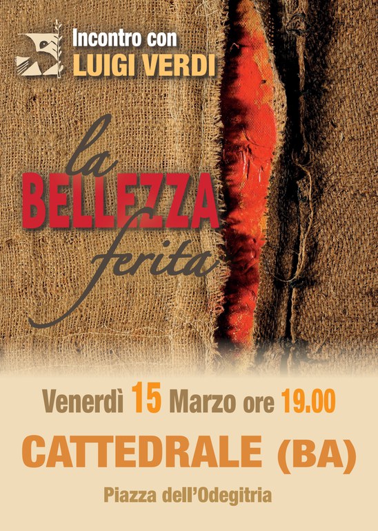 La Bellezza ferita