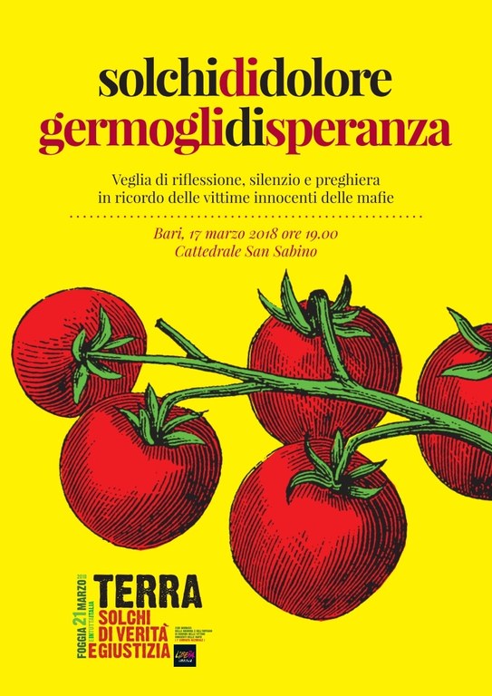 Solchi di dolore, germogli di speranza