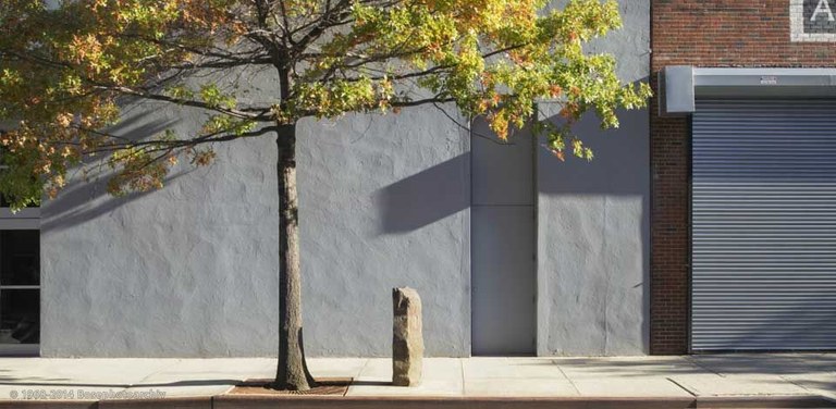 Joseph Beuys, 7000 Eichen (7000 Quercie), installazione inaugurata a dOCUMENTA 7 nel 1982