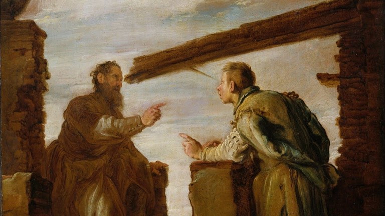 VIII Domenica del Tempo Ordinario anno C. La fecondità è la prima legge di un albero