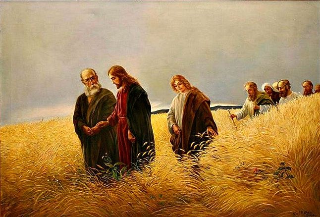 XIV Domenica del Tempo Ordinario anno C. La missione rivolta a tutte le genti