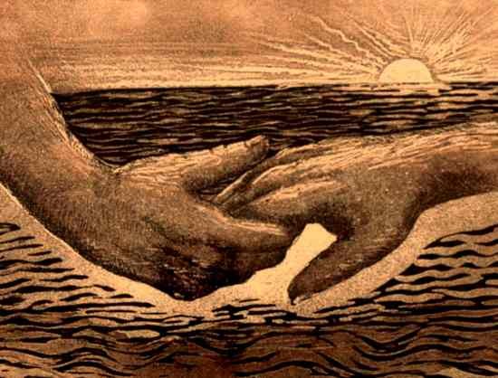 XXVII Domenica del Tempo Ordinario anno B. Il sogno di Dio è che nessuno sia solo, senza sicurezza