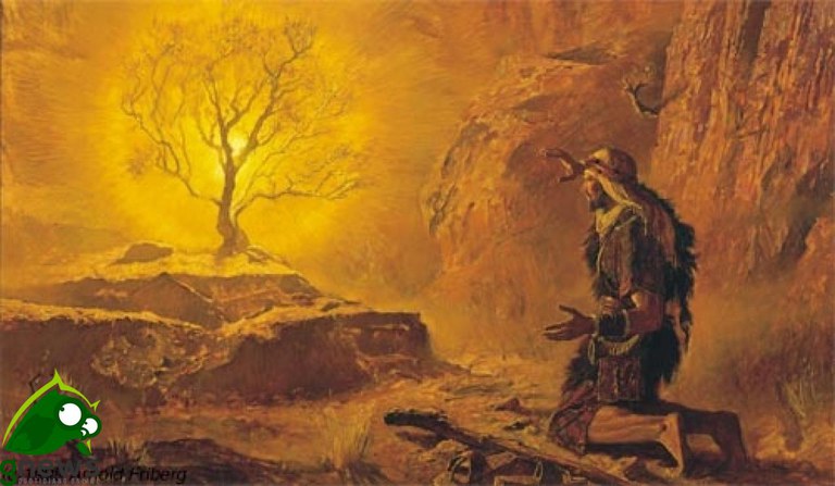 XXXII Domenica del Tempo Ordinario anno C. Vita eterna, non durata ma intensità senza fine