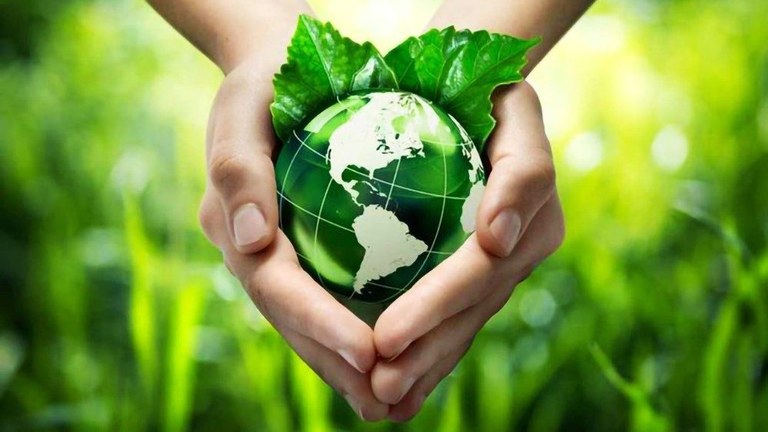 Uomo e natura, protagonisti dell'"ecologia integrale"