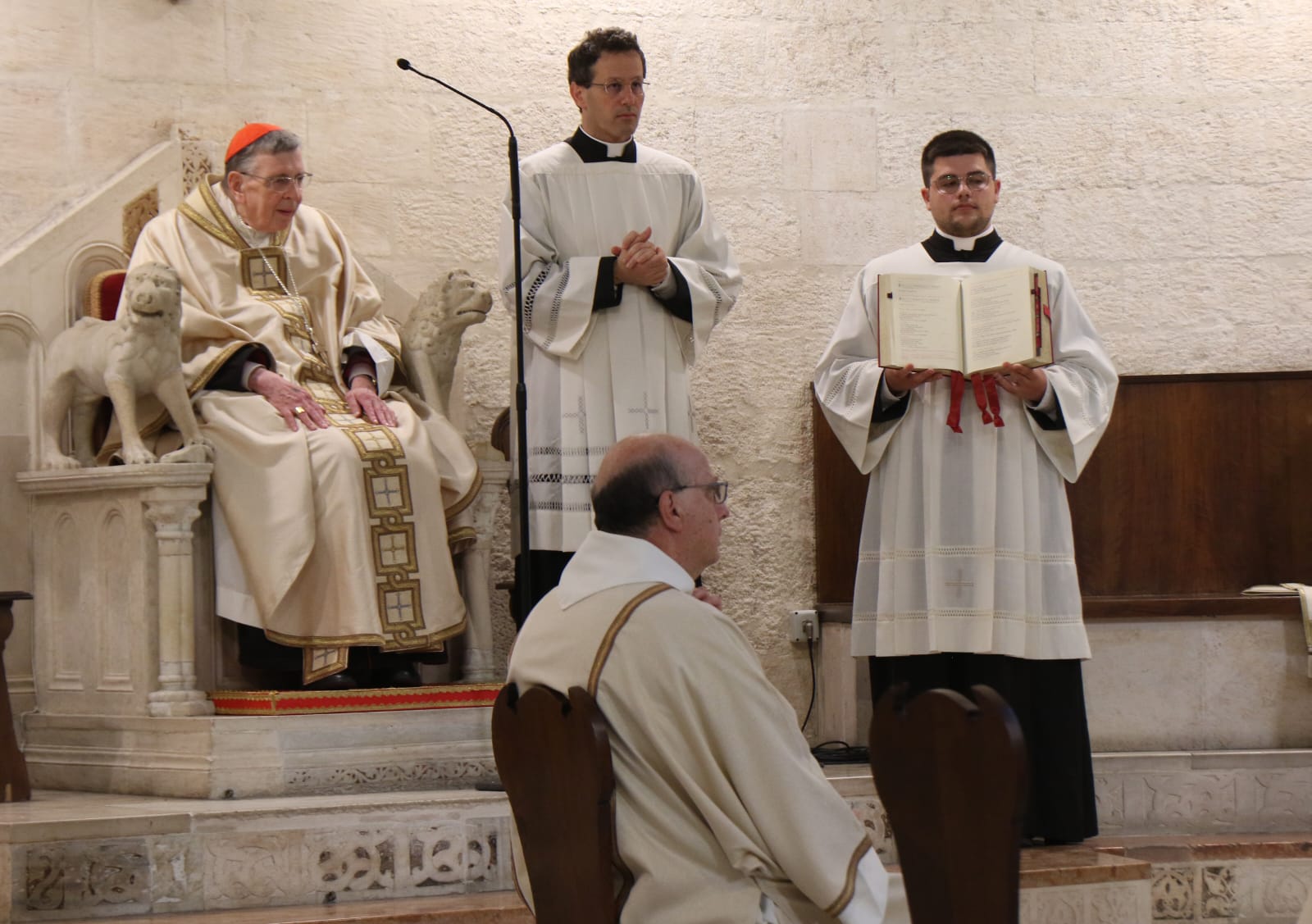 Immagine WhatsApp 2024-06-05 ore 20.52.23_4e48e36f.jpg