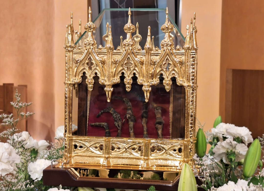 Immagine WhatsApp 2025-11-14 ore 19.40.42_056843a9.jpg