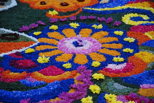 infiorata.jpg