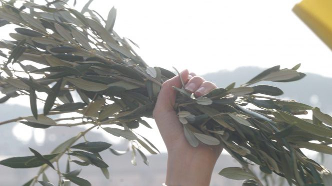 Nota Pastorale “Educare a una pace disarmata e disarmante”