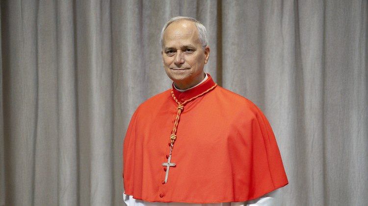 Il nuovo Papa, Leone XIV