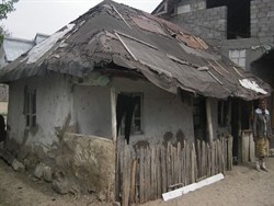 romcatapecchia_1758550.jpg
