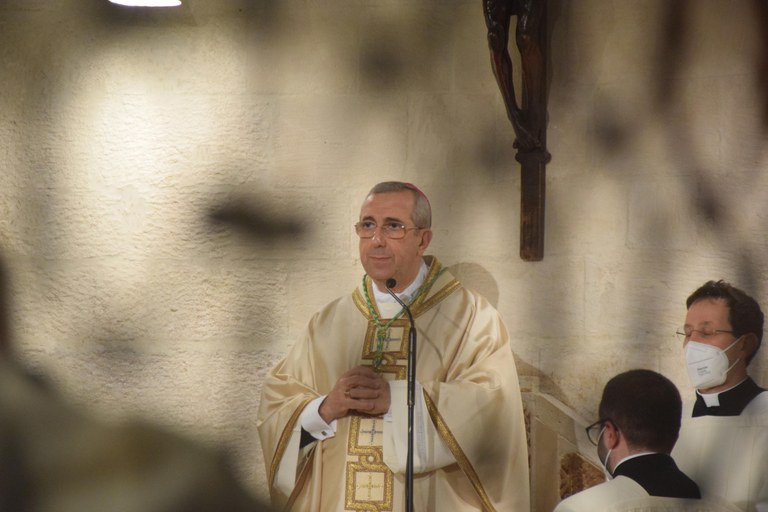 DSC_0190 (Copia di NXPowerLite).JPG